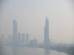 
      
      Study discusses effect of pollutants on fertility
      
      