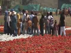 
      
      Kashmir sees record tourist arrivals this year
      
      