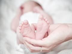 
      
      Study finds antibiotics affect breast milk microbiota in...
      
      
