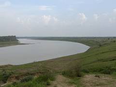 
      
      Flood-like situation in Rajasthan's Dholpur 
      
      