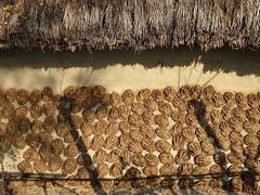 
      
      Cutting household fuel may improve India's air quality standards
      
      