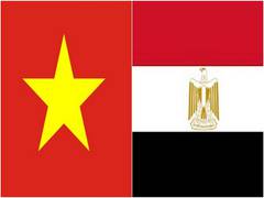 
      
      Vietnam, Egypt boost trade, investment cooperation between...
      
      