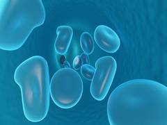 
      
      Researchers study virus-cell interaction to understand...
      
      