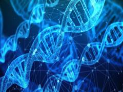 
      
      Immune memory becomes less durable post severe COVID: Study
      
      