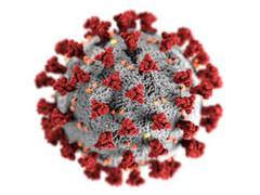 
      
      Researchers detect SARS-CoV-2 variant in dogs, cats with...
      
      
