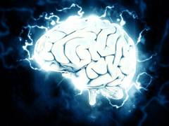 
      
      Study finds link between individual's sense of purpose, their...
      
      