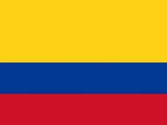 
    2 dead, over 10 injured amid clashes between demonstrators, police in Colombia
    