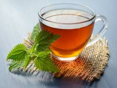 
      
      Green tea proven to be beneficial for children with Down syndrome
      
      