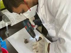 
      
      Verification underway of 2,500 rhino horns stored in Assam...
      
      
