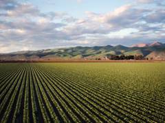 
      
      Agriculture will play important role in reducing greenhouse gas
      
      