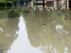 
      
      Death toll from flash floods in Rio rises to 14
      
      