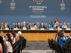 
      
      India delivers at WTO Ministerial Conference
      
      