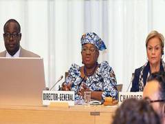 
    India to pitch for fair and just outcomes WTO ministerial 
    