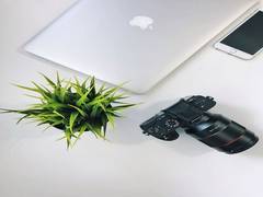 
      
      Study reveals desktop plant can help combat workplace stress
      
      