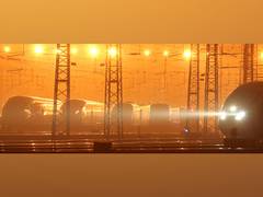 
      
      China dims lights in Chengdu subway to save power
      
      