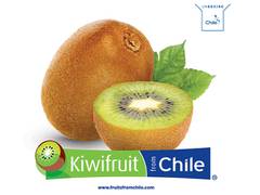 
      
      Chilean Kiwi strengthens its presence in India
      
      