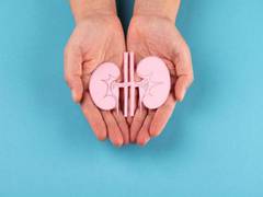 
      
      Metabolism might be vital for future kidney disease treatment
      
      