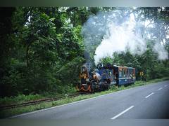
      
      NFR planning to start diesel loco manufacture shed at Tindharia
      
      