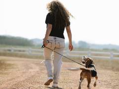 
    Dogs with more active owners get more exercise
    