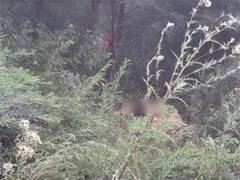 
      
      Infiltration attempt foiled along LoC in Uri, 3 terrorists killed
      
      