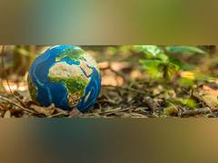 
      
      US propose labelling 'forever chemicals' as hazardous 
      
      