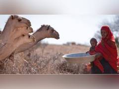 
    WMO: Africa drought forecast to continue for fifth year
    