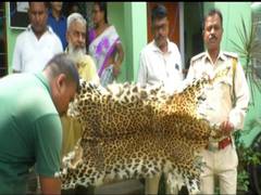 
      
      Forest officials recover body parts of animals in Assam's Nagaon
      
      