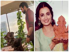 
      
      Take cue from actors on how to celebrate eco-friendly Ganeshotsav
      
      