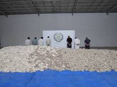
      
      Two Pakistanis arrested in Saudi Arabia's biggest drug bust    
      
      