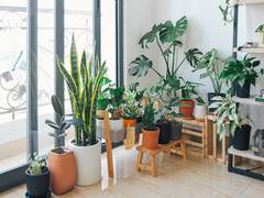 
      
      Rethinking Indoor Air Chemistry
      
      