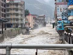 
      
      About 8 lakh livestock lost in Pakistan floods
      
      
