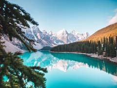 
      
      People's appreciation of nature was reignited by COVID-19: Study
      
      