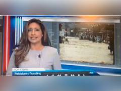 
      
      Anchor delivering news on Pakistan floods, swallows fly
      
      