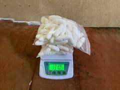 
      
      1.3 kgs cocaine worth Rs 13 crore seized by Mumbai Customs
      
      