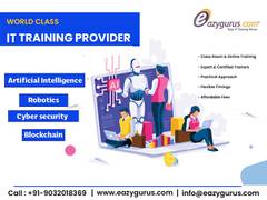 
      
      Eazygurus eyes further expansion
      
      