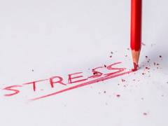 
      
      Pregnant woman's stress can link to negative emotions in babies
      
      