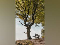 
      
      A new initiative to increase tree coverage in India 
      
      