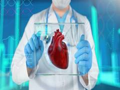 
      
      Women, men share same risk factors for cardiovascular disease 
      
      