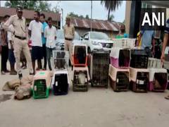 
      
      Assam: 2 vehicles trafficking wild animals seized in Rangia
      
      