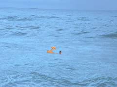 
      
      GVMC to introduce robotic boat to rescue people from sea drowning
      
      