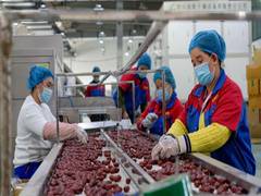 
      
      Targeting China, EU seeks to ban products made with forced labour
      
      