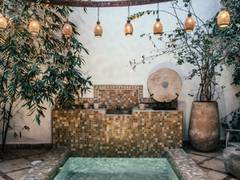 
      
      Eco-friendly certifications do not financially help hotels: Study
      
      