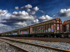 
      
      Transportation of passenger cars through Railways on the rise
      
      