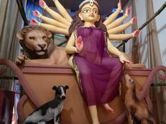 
      
      'Pet-friendly' themed Durga Puja in North Kolkata
      
      