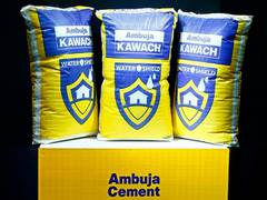 
      
      Ambuja Cements surges 10 per cent on Adani's fund infusion plan
      
      