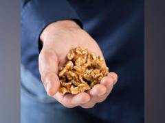 
      
      Study suggests Walnuts are bridge to better health as we age
      
      