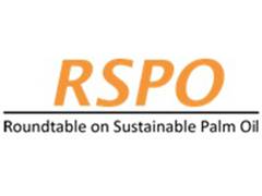 
      
      India to lead way towards sustainable palm oil industry: RSPO
      
      