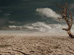 
      
       China to witness drought-like situations in coming years: Study
      
      