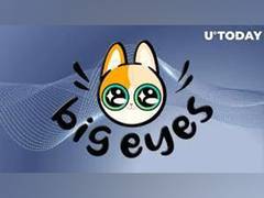 
      
      Let Big Eyes Coin, Dogecoin, Apecoin marshal you to fat wallets
      
      
