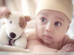 
    Study discovers how babies learn contrastive languages
    